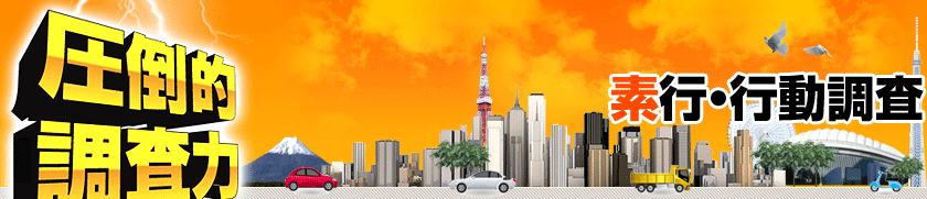 素行・行動調査