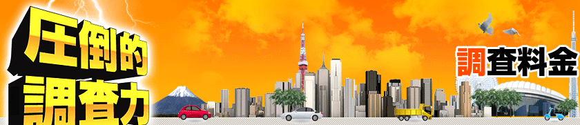 調査料金